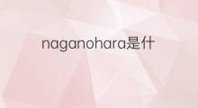 naganohara是什么意思 naganohara的中文翻译、读音、例句