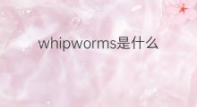 whipworms是什么意思 whipworms的中文翻译、读音、例句