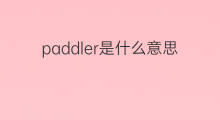 paddler是什么意思 paddler的中文翻译、读音、例句
