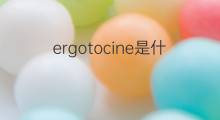 ergotocine是什么意思 ergotocine的中文翻译、读音、例句