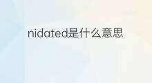nidated是什么意思 nidated的中文翻译、读音、例句