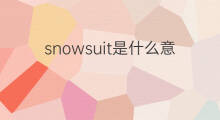 snowsuit是什么意思 snowsuit的中文翻译、读音、例句