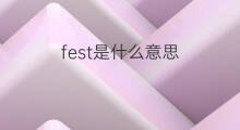 fest是什么意思 fest的中文翻译、读音、例句