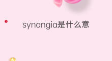 synangia是什么意思 synangia的中文翻译、读音、例句
