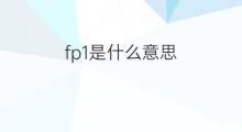 fp1是什么意思 fp1的中文翻译、读音、例句