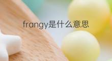 frangy是什么意思 frangy的中文翻译、读音、例句