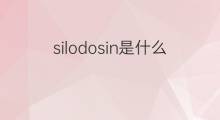 silodosin是什么意思 silodosin的中文翻译、读音、例句