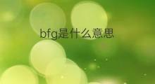 bfg是什么意思 bfg的翻译、读音、例句、中文解释