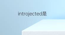 introjected是什么意思 introjected的翻译、读音、例句、中文解释