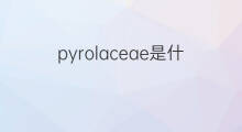 pyrolaceae是什么意思 pyrolaceae的翻译、读音、例句、中文解释
