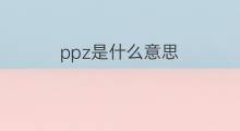 ppz是什么意思 ppz的翻译、读音、例句、中文解释