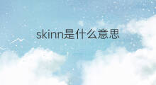 skinn是什么意思 skinn的翻译、读音、例句、中文解释