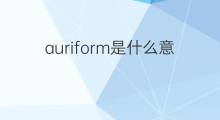 auriform是什么意思 auriform的翻译、读音、例句、中文解释