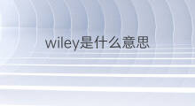 wiley是什么意思 wiley的翻译、读音、例句、中文解释