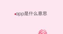 app是什么意思 app的翻译、读音、例句、中文解释