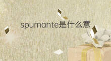 spumante是什么意思 spumante的翻译、读音、例句、中文解释