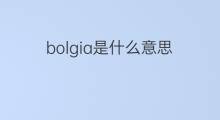 bolgia是什么意思 bolgia的翻译、读音、例句、中文解释