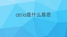 atria是什么意思 英文名atria的翻译、发音、来源
