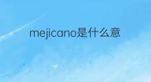 mejicano是什么意思 mejicano的翻译、读音、例句、中文解释