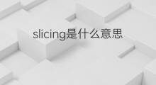 slicing是什么意思 slicing的翻译、读音、例句、中文解释