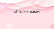 shanxiensis是什么意思 shanxiensis的翻译、读音、例句、中文解释