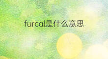 furcal是什么意思 furcal的翻译、读音、例句、中文解释