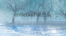 entlebuch是什么意思 entlebuch的翻译、读音、例句、中文解释
