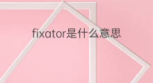 fixator是什么意思 fixator的翻译、读音、例句、中文解释