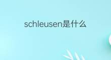 schleusen是什么意思 schleusen的翻译、读音、例句、中文解释