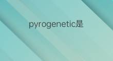 pyrogenetic是什么意思 pyrogenetic的翻译、读音、例句、中文解释