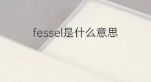 fessel是什么意思 fessel的翻译、读音、例句、中文解释