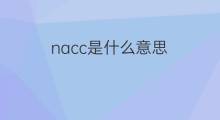 nacc是什么意思 nacc的翻译、读音、例句、中文解释