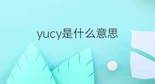 yucy是什么意思 yucy的翻译、读音、例句、中文解释