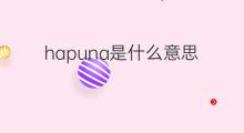 hapuna是什么意思 hapuna的翻译、读音、例句、中文解释