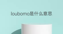 loubomo是什么意思 loubomo的翻译、读音、例句、中文解释