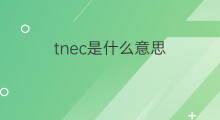 tnec是什么意思 tnec的翻译、读音、例句、中文解释