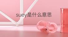 suey是什么意思 suey的翻译、读音、例句、中文解释