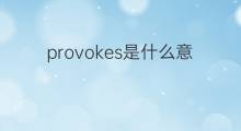 provokes是什么意思 provokes的翻译、读音、例句、中文解释