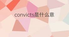 convicts是什么意思 convicts的翻译、读音、例句、中文解释