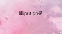 lilliputian是什么意思 lilliputian的翻译、读音、例句、中文解释