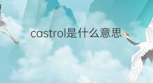 castrol是什么意思 castrol的翻译、读音、例句、中文解释