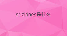 stizidaes是什么意思 stizidaes的翻译、读音、例句、中文解释