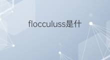 flocculuss是什么意思 flocculuss的翻译、读音、例句、中文解释