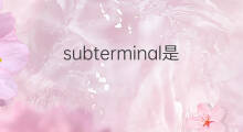 subterminal是什么意思 subterminal的翻译、读音、例句、中文解释