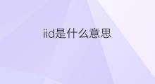 iid是什么意思 iid的翻译、读音、例句、中文解释