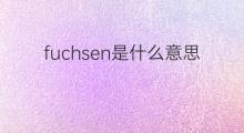 fuchsen是什么意思 fuchsen的翻译、读音、例句、中文解释