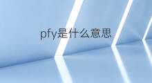 pfy是什么意思 pfy的翻译、读音、例句、中文解释