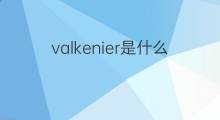 valkenier是什么意思 valkenier的翻译、读音、例句、中文解释