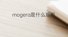 mogera是什么意思 mogera的翻译、读音、例句、中文解释