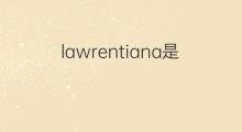 lawrentiana是什么意思 lawrentiana的翻译、读音、例句、中文解释